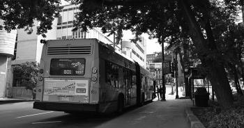 Autobus en noir et blanc