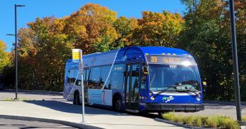 panneau d'arrêt du TCJC au terminus de la Faune, avec un bus du RTC derrière.