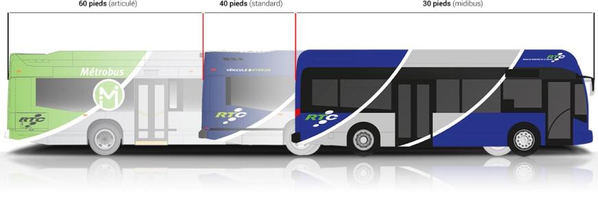 Dimensions du Midibus